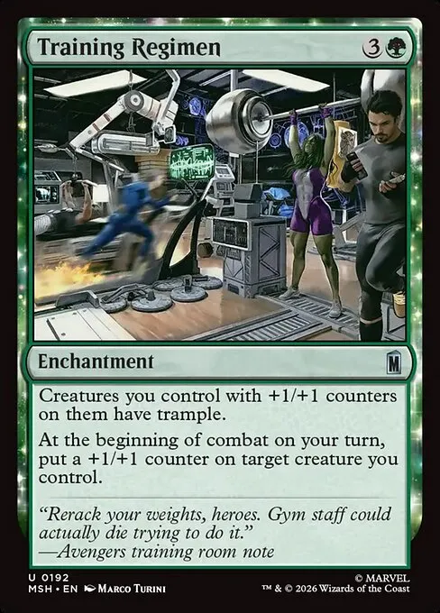 Training Regimen - Foil