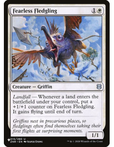 Fearless Fledgling