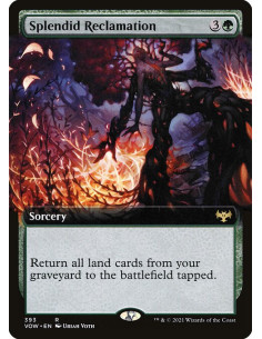 Splendid Reclamation