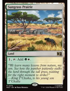 Sungrass Prairie - Foil
