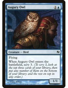 Augury Owl