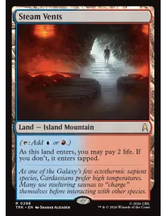 Steam Vents - Foil