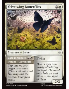 Velvetwing Butterflies // Gaze in Wonder