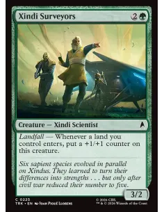 Xindi Surveyors - Foil