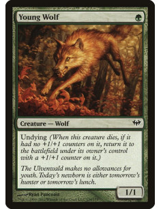 Young Wolf - Foil