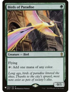 Birds of Paradise