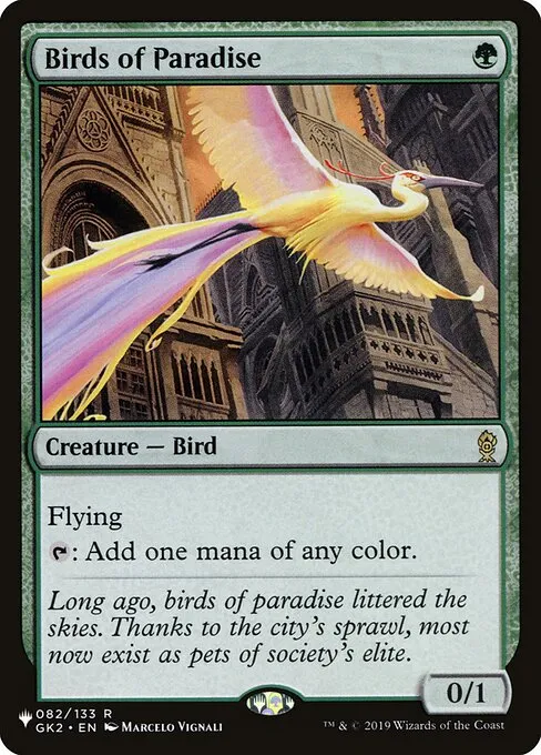 Birds of Paradise