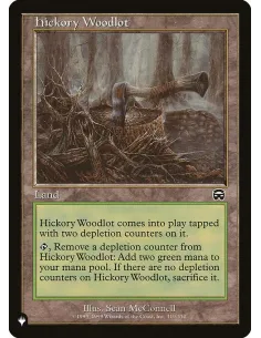 Hickory Woodlot