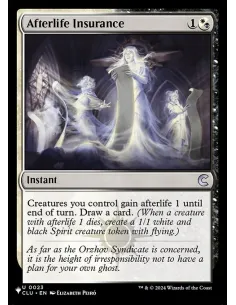 Afterlife Insurance