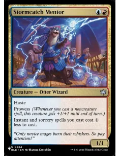 Stormcatch Mentor