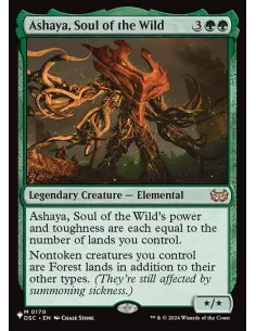 Ashaya, Soul of the Wild