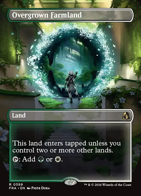Overgrown Farmland
