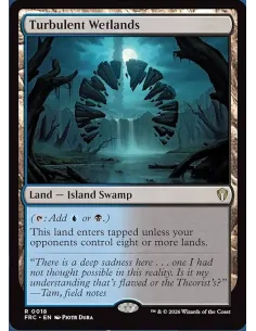 Turbulent Wetlands