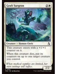 Graft Surgeon