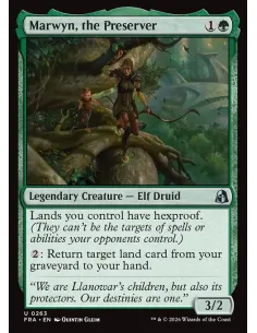 Marwyn, the Preserver