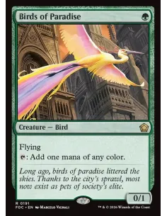 Birds of Paradise