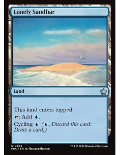 Lonely Sandbar