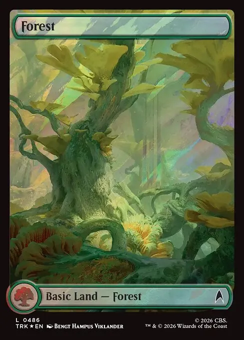 Forest