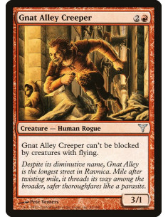 Gnat Alley Creeper