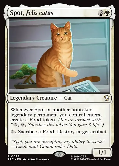 Spot, Felis catus - Foil