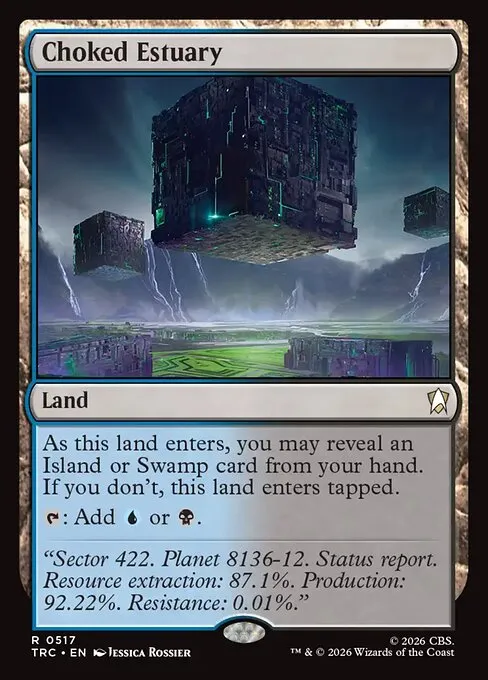 Choked Estuary