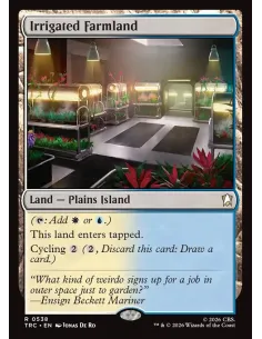 Irrigated Farmland - Foil