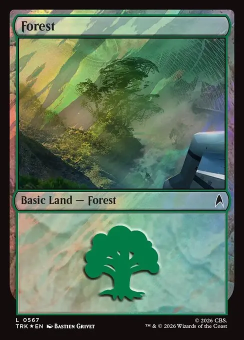 Forest