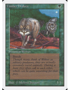 Timber Wolves