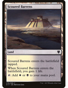 Scoured Barrens