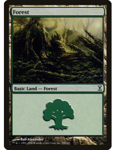Forest - Foil