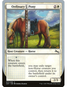 Ordinary Pony - Foil