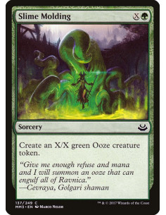 Slime Molding - Foil