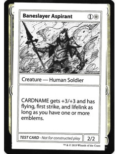 Baneslayer Aspirant