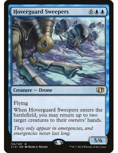 Hoverguard Sweepers
