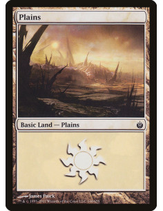 Plains - Foil