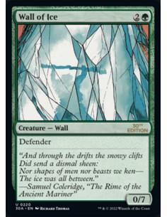 Wall of Ice