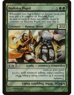 Budoka Pupil // Ichiga, Who Topples Oaks - Foil