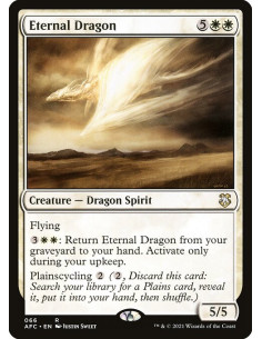 Eternal Dragon