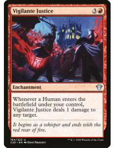 Vigilante Justice