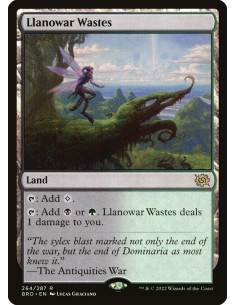 Llanowar Wastes - Foil