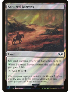 Scoured Barrens - Foil