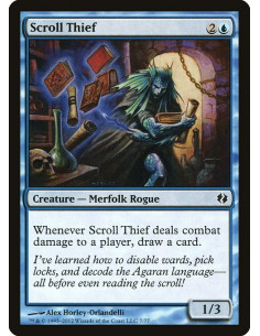Scroll Thief