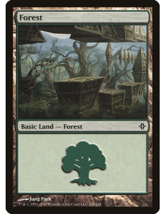 Forest