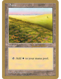 Plains