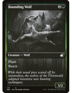 Bounding Wolf