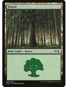 Forest