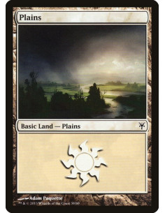 Plains