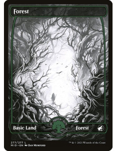 Forest - Foil