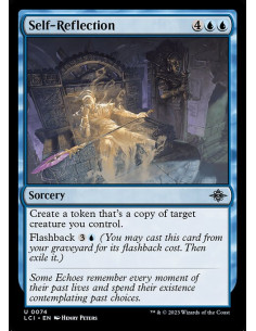 Self-Reflection - Foil