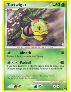 Turtwig
